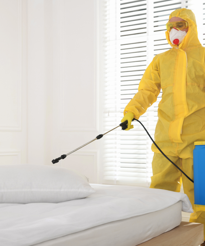 Professional Pest Control Team in Gillman